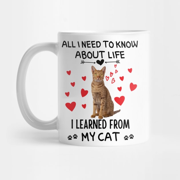 All I Need To Know About Life I Learned From My Cat by Prossori